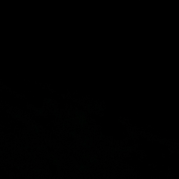 Meet your Posher, Tommie - Picture 1 of 1